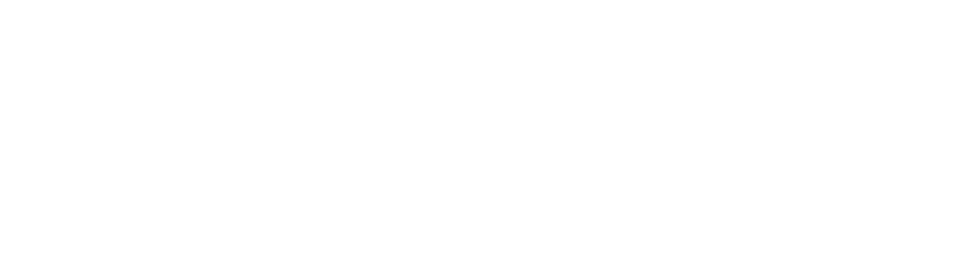 logo AAVO - white