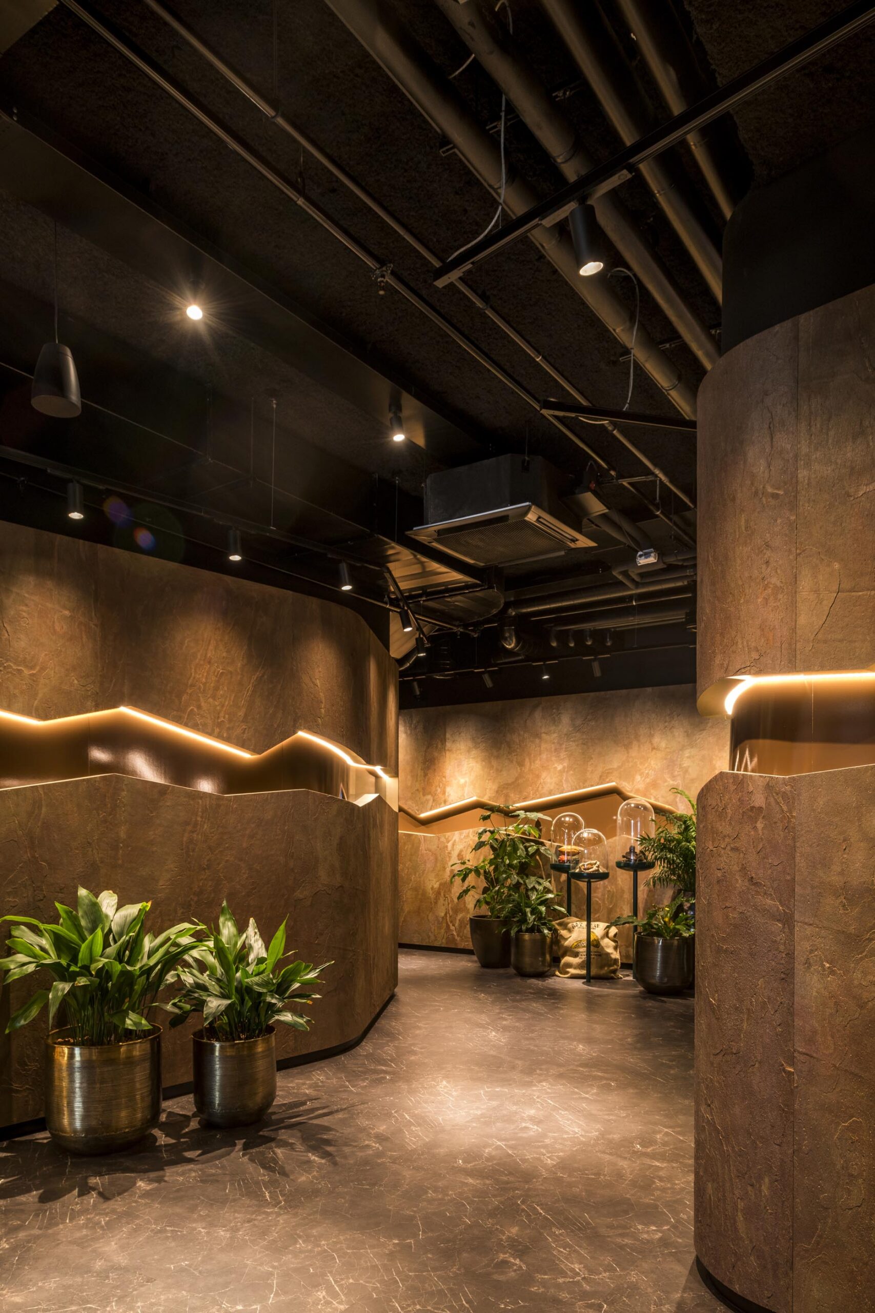 DeltaLight-HouseofChocolate-110